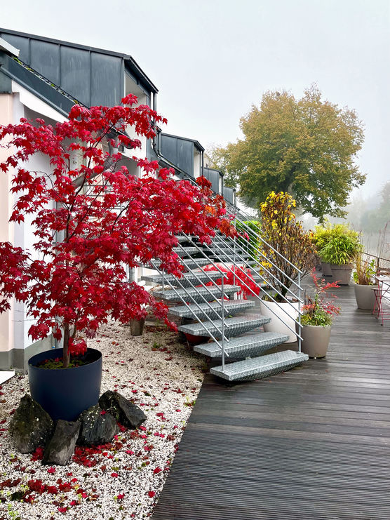 Jedes Jahr auf neue Jedes Jahr auf neue