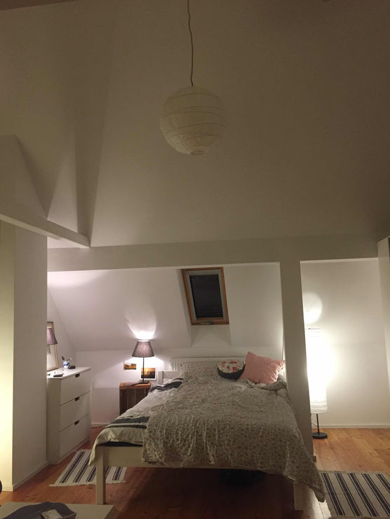 Bild von Violav Bild von Violav