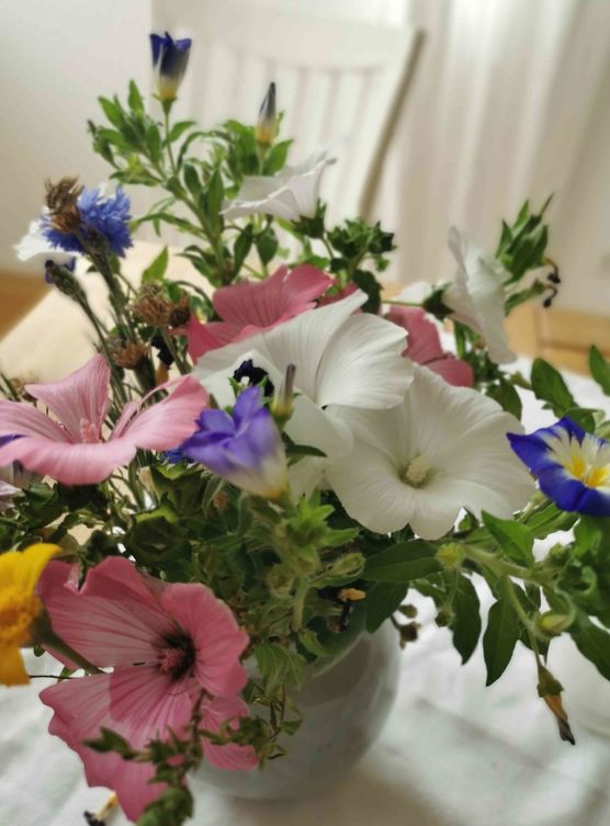 Bild von Regenbogentraum Bild von Regenbogentraum