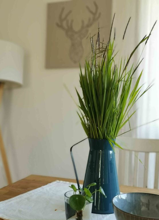 Bild von Regenbogentraum Bild von Regenbogentraum