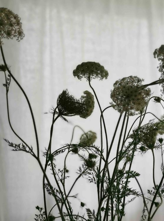 Bild von Regenbogentraum Bild von Regenbogentraum