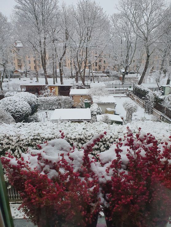 Hurra endlich Schnee. Dann Hurra endlich Schnee. Dann