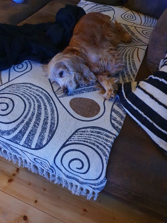 Gute Nacht 😴😴🌃
Gute Nacht 😴😴🌃