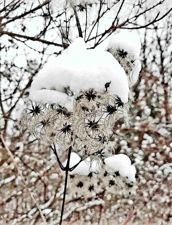 Bild von Wohnfee24 Bild von Wohnfee24