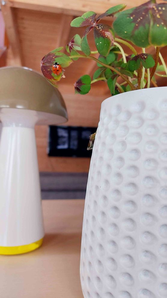 Bild von Wohnfee24 Bild von Wohnfee24