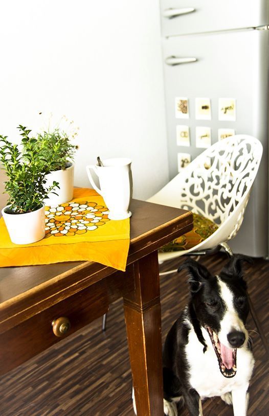 *sunday morning* *sunday morning*