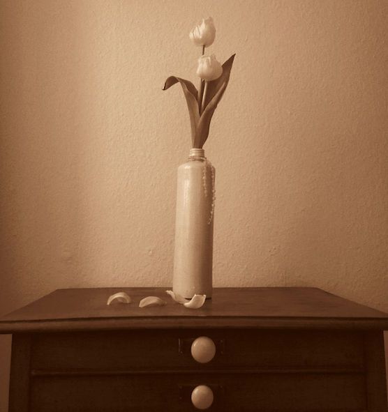 Tulips - dunkle Ecken schöner machen Tulips - dunkle Ecken schöner machen