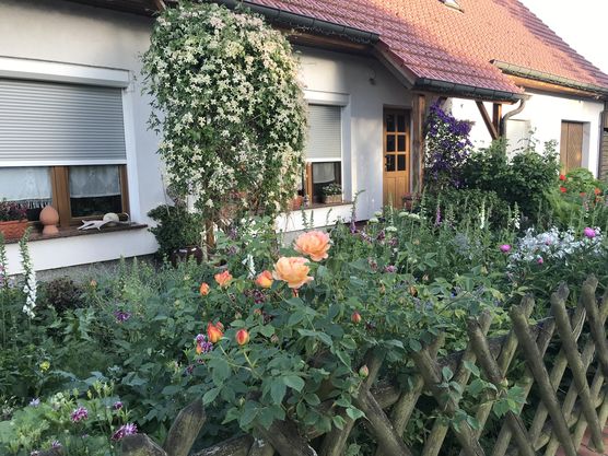 Ich liebe diese Zeit Ich liebe diese Zeit