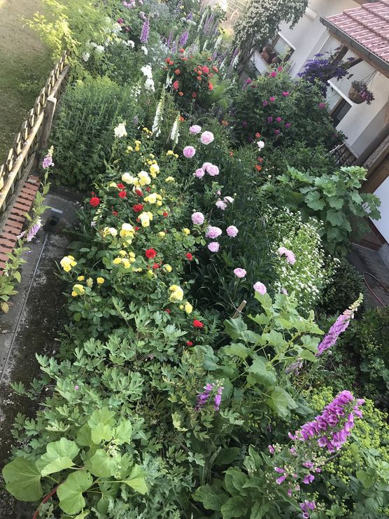 Wenn der Vorgarten so Wenn der Vorgarten so