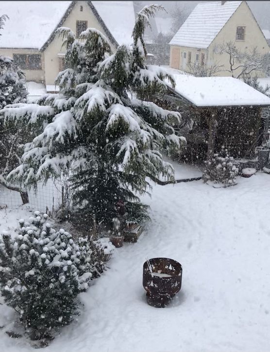 Winterwonderland…es hat den ganzen Winterwonderland…es hat den ganzen