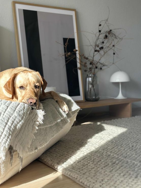 Bild von alltagswahnsinnhoch3 Bild von alltagswahnsinnhoch3