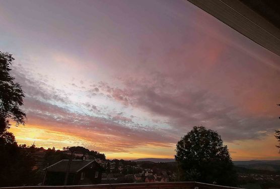 Bild von Mellex Bild von Mellex