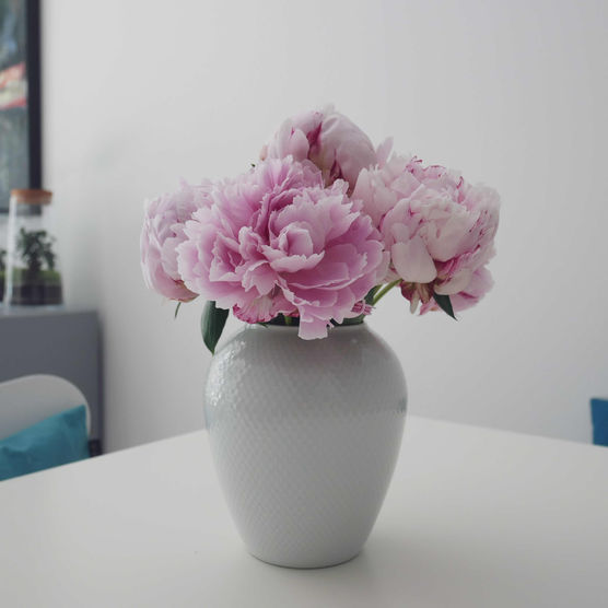 Bild von Baluese Bild von Baluese