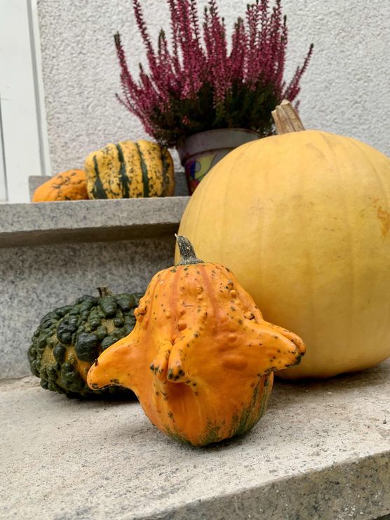 Bild von ankazi91 Bild von ankazi91