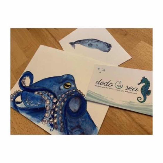 Bild von ankazi91 Bild von ankazi91