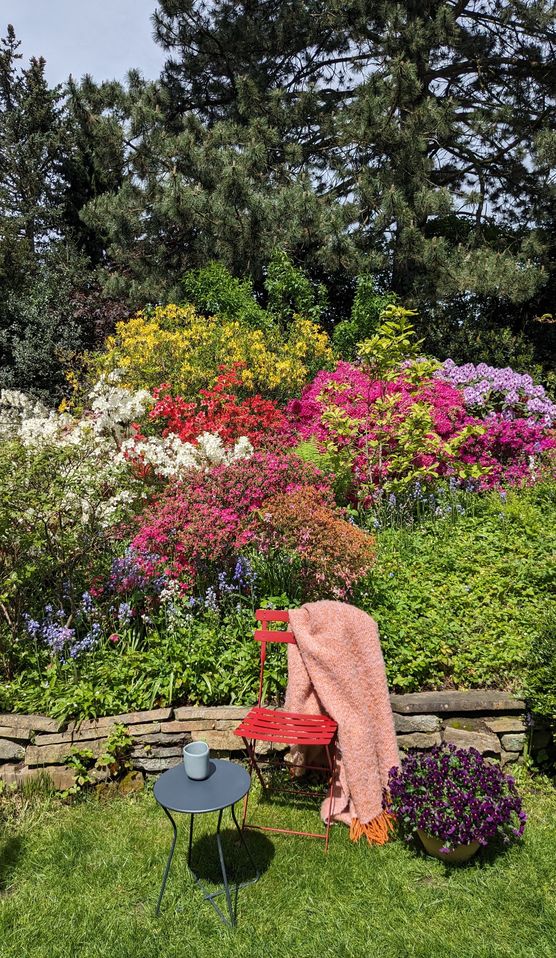 Farbexplosion! Ich liiieebe den Farbexplosion! Ich liiieebe den