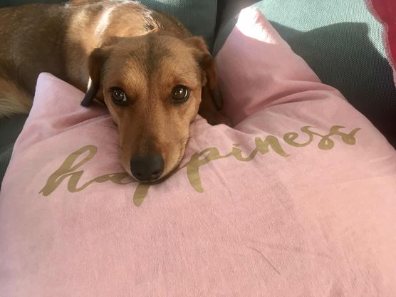 Bild von Crstna77 Bild von Crstna77