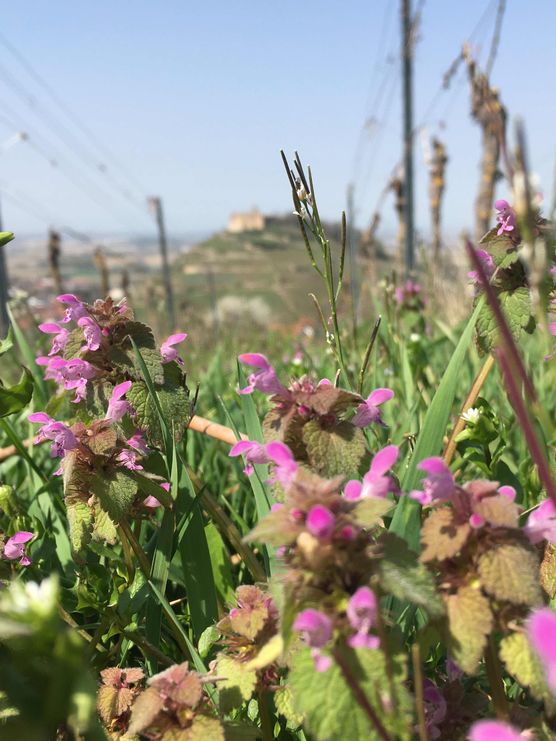 Bild von Crstna77 Bild von Crstna77