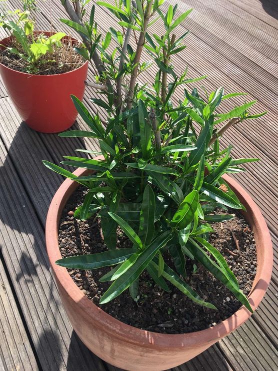 Bild von Crstna77 Bild von Crstna77