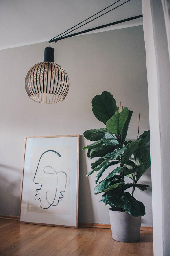 TIMLESS WOOD DESIGN – TIMLESS WOOD DESIGN –