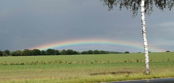 Bild von ChaosGuardian Bild von ChaosGuardian