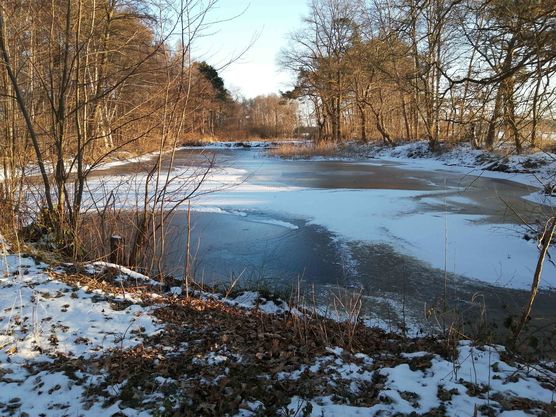 Bild von ChaosGuardian Bild von ChaosGuardian