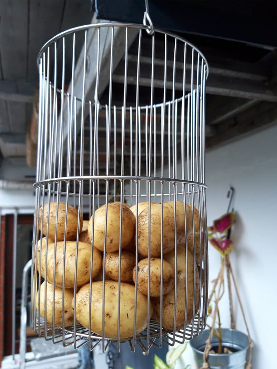 Übrigens, Kartoffeln lassen sich Übrigens, Kartoffeln lassen sich