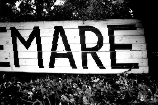 Wunderschöne Typografie auf einem Wunderschöne Typografie auf einem