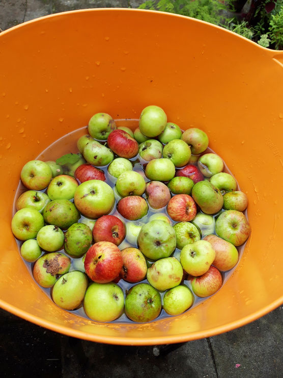 So geht's hier seit So geht's hier seit