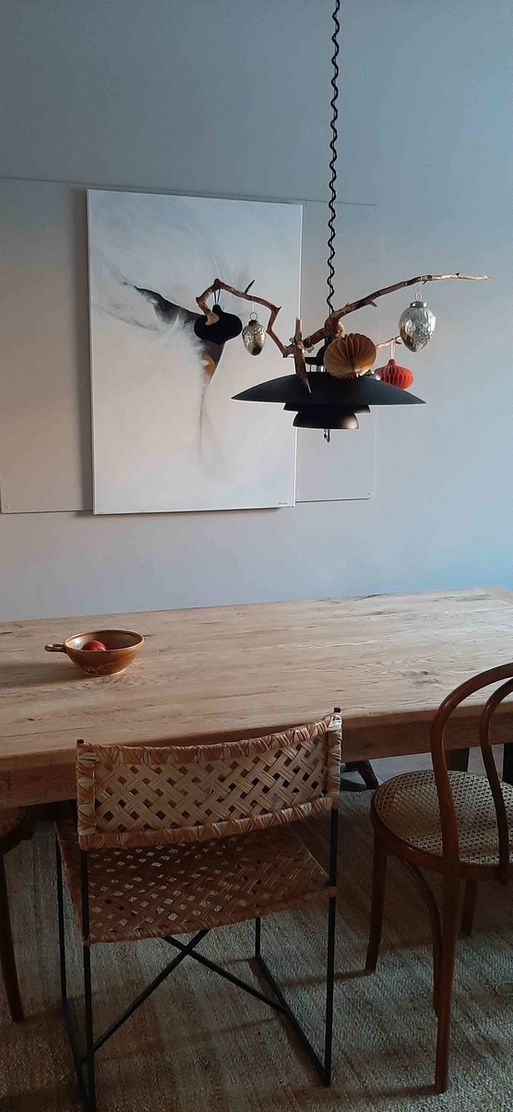 Bild von hundeohr Bild von hundeohr