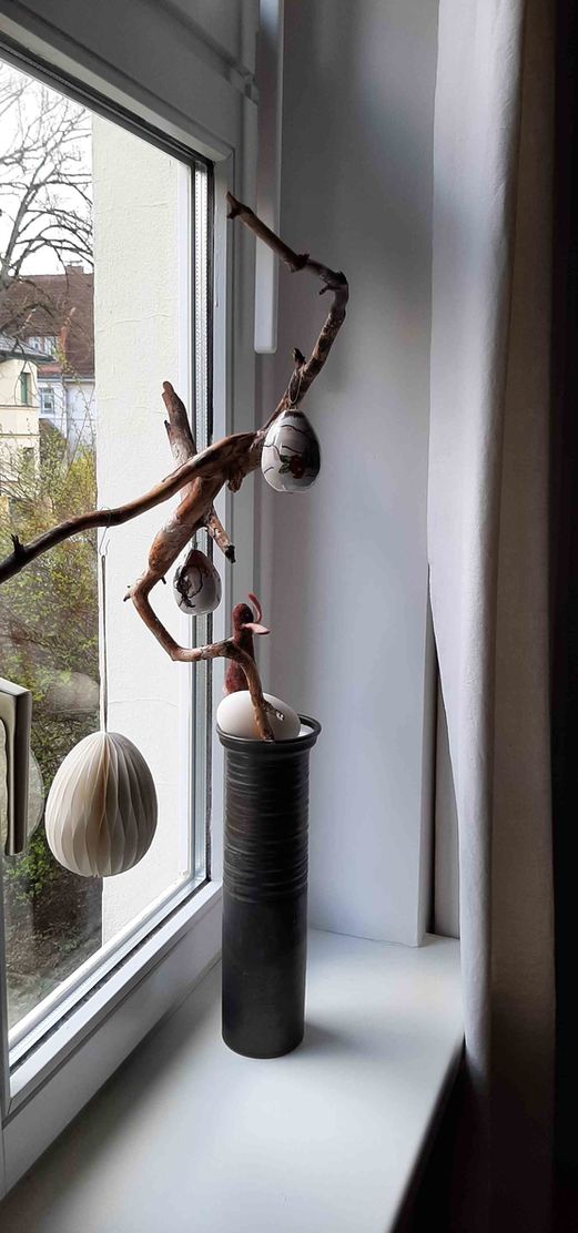 Bild von hundeohr Bild von hundeohr