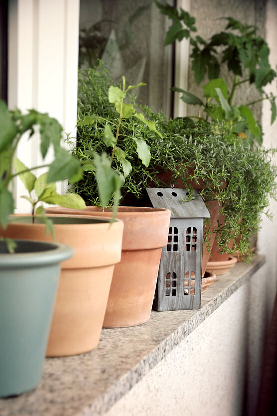 Bild von a.complete.life Bild von a.complete.life