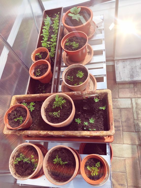 Bild von eule1905 Bild von eule1905