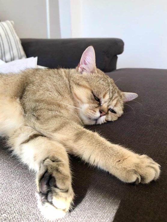 Bild von tamarali Bild von tamarali