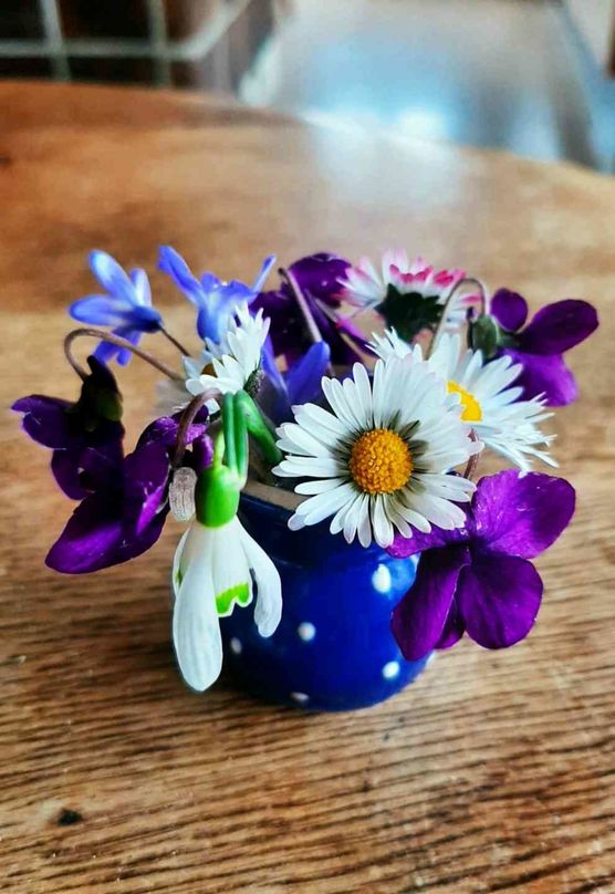 Bild von Federviehliebe Bild von Federviehliebe