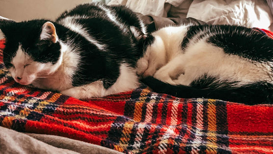 Bild von TheWDiary Bild von TheWDiary