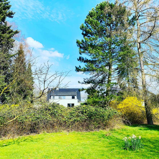 Bild von Diana Alester Bild von Diana Alester