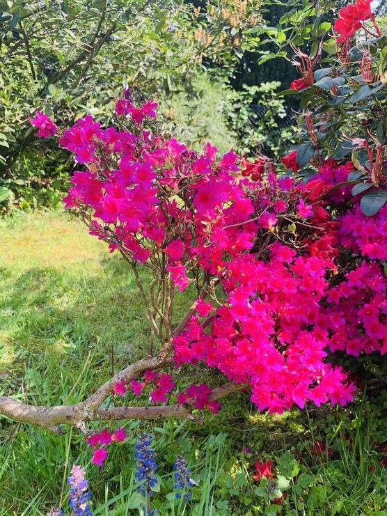 Bild von Diana Alester Bild von Diana Alester