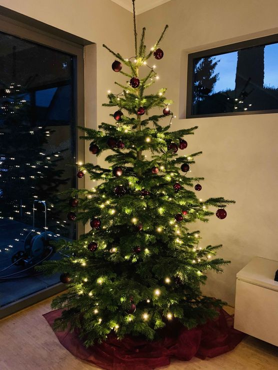 Bild von Diana Alester Bild von Diana Alester