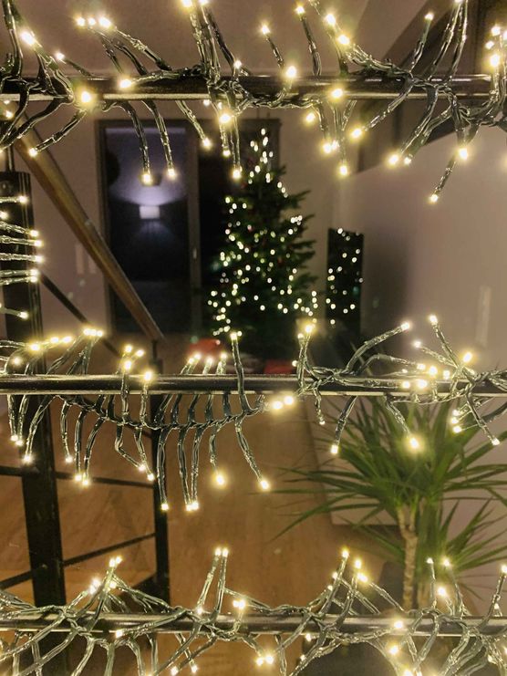 Bild von Diana Alester Bild von Diana Alester