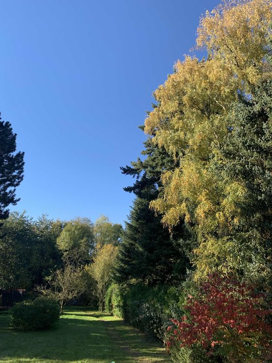 Bild von Diana Alester Bild von Diana Alester