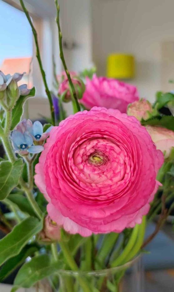 Bild von mia235 Bild von mia235