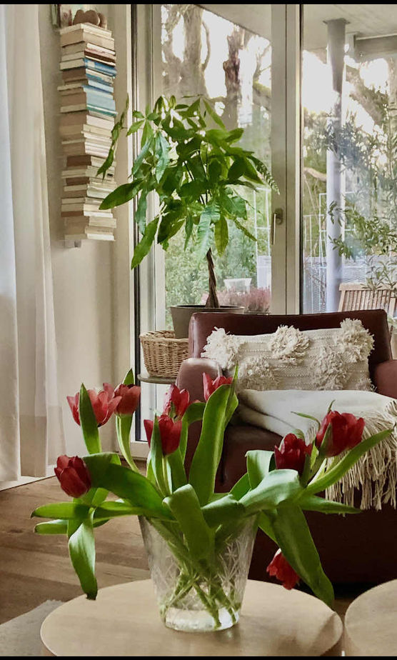 Bild von mona68 Bild von mona68