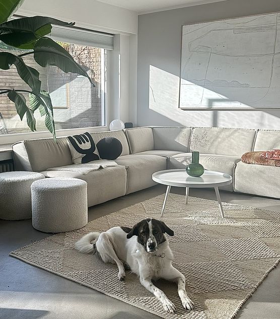 Wenn die Herbstsonne ins Wenn die Herbstsonne ins