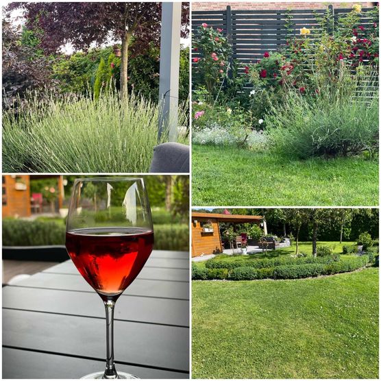 Bild von daqy Bild von daqy