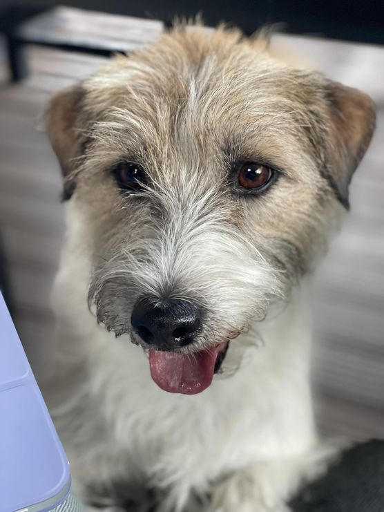 Bild von daqy Bild von daqy