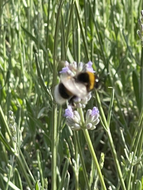 Bild von daqy Bild von daqy