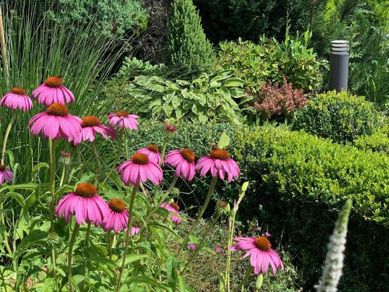 Bild von daqy Bild von daqy