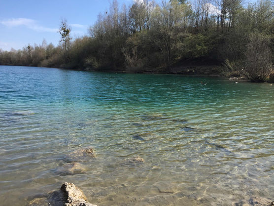 Bild von Schmetterlingg Bild von Schmetterlingg