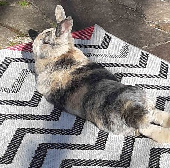 Bild von Citywoman Bild von Citywoman